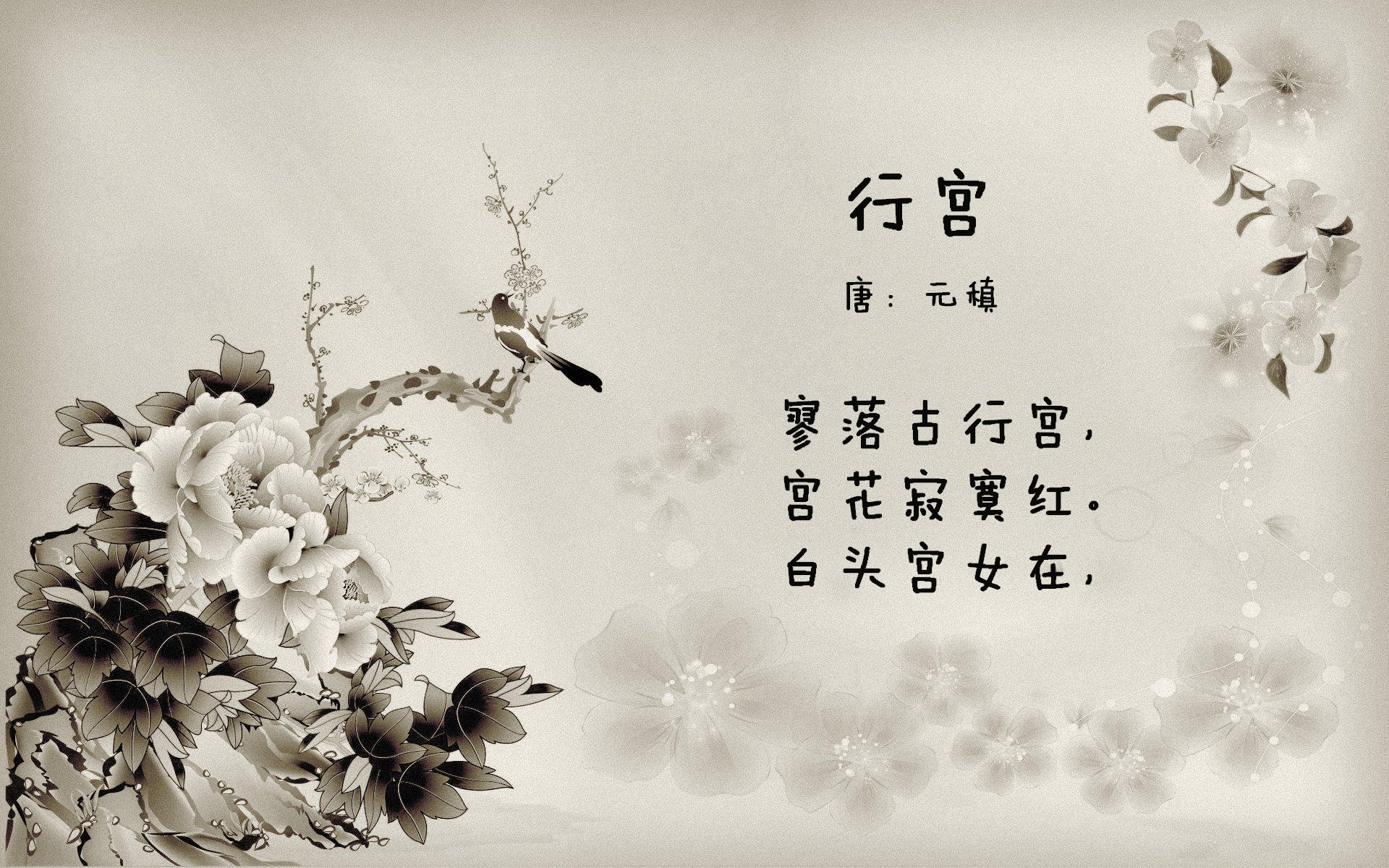 B体育下载-《王者荣耀冠军争夺，黑马强势崛起引发轰动》，王者荣耀游戏冠军