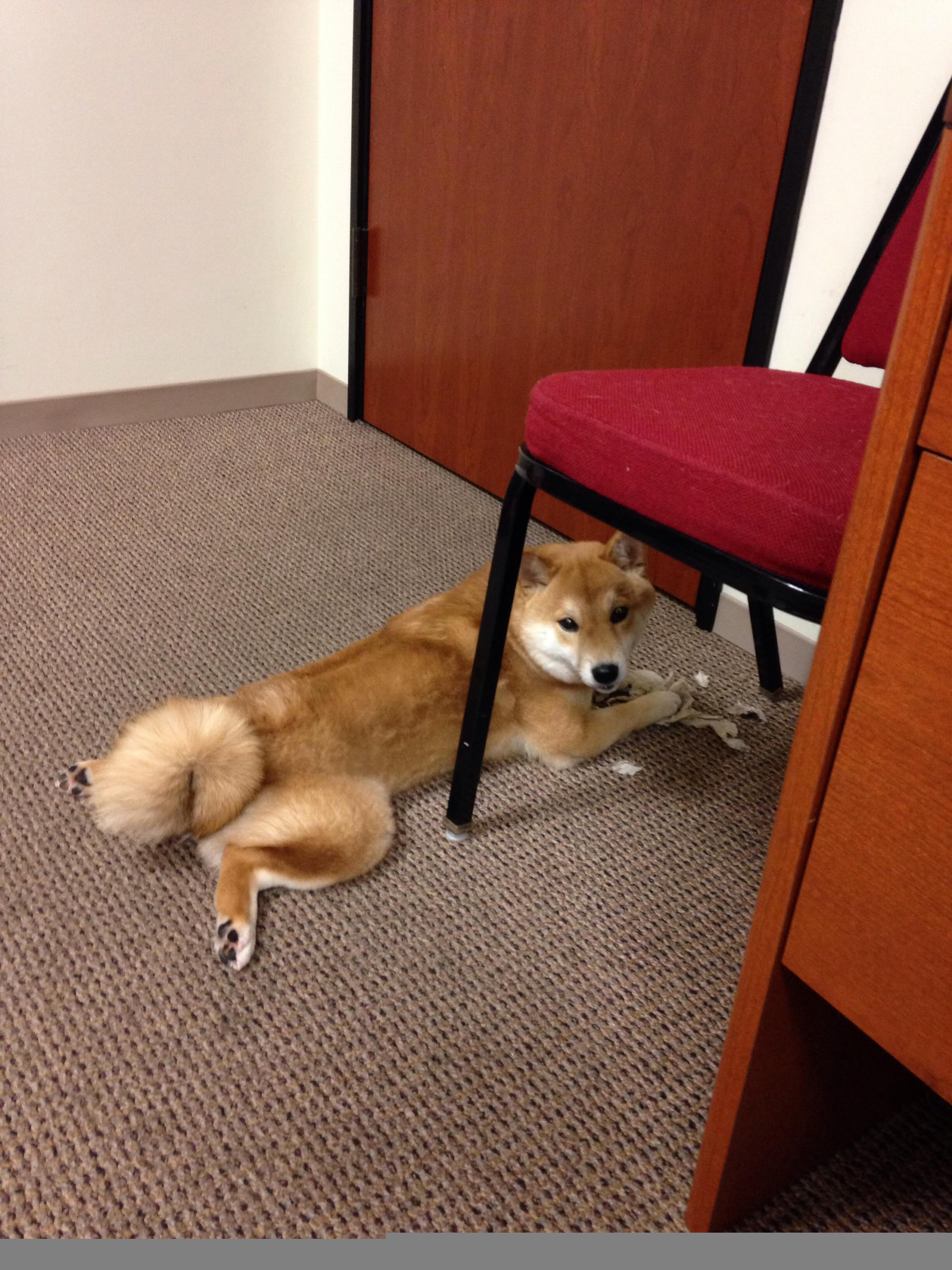 B体育(CHINA)官方网站-智能虚拟车队：AI助力比赛策略，智能车模拟