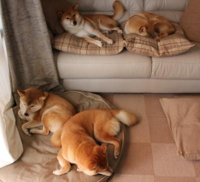 法国男足：场面好看，结果难堪，法国队男足