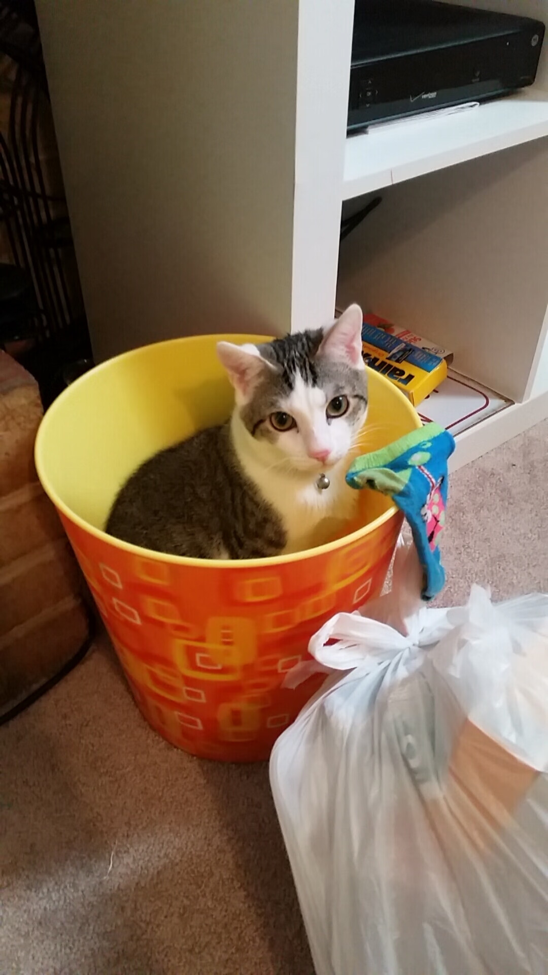 转会泡沫:高价买入是否让球队背负风险?,转会交易