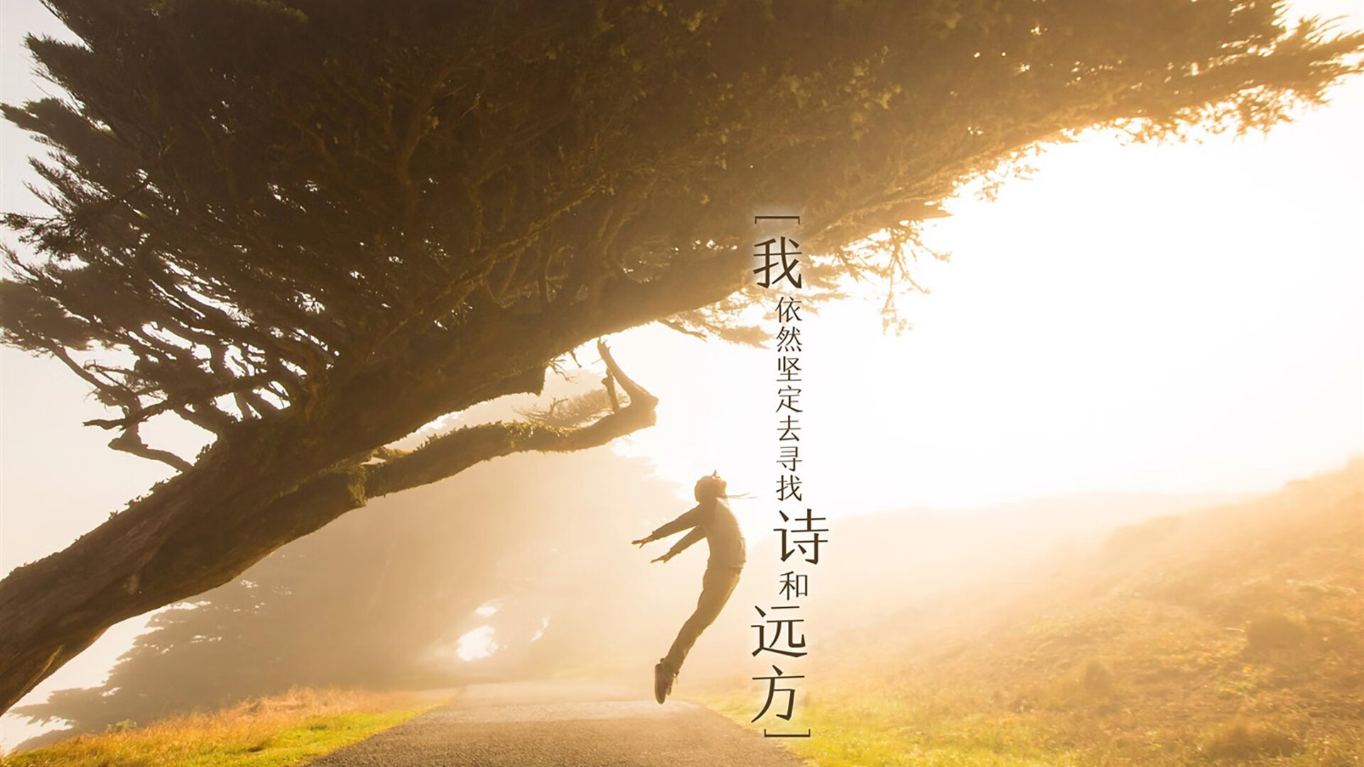 B体育亚洲官方网站-LCS季后赛对阵出炉，lcs赛区季后赛