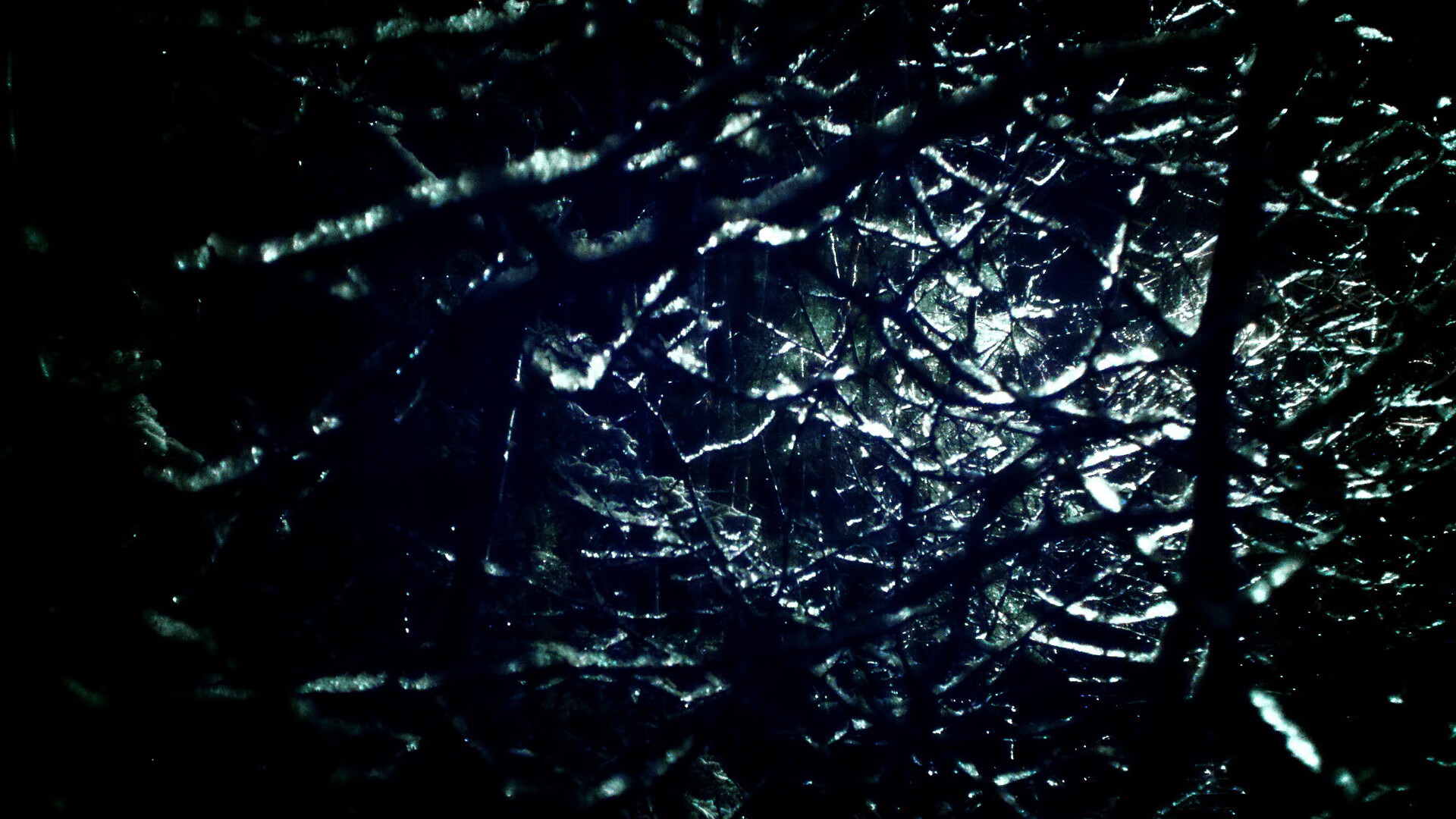 BSPORT APP-LCS官方赛事制作质量升级，lcs赛区logo