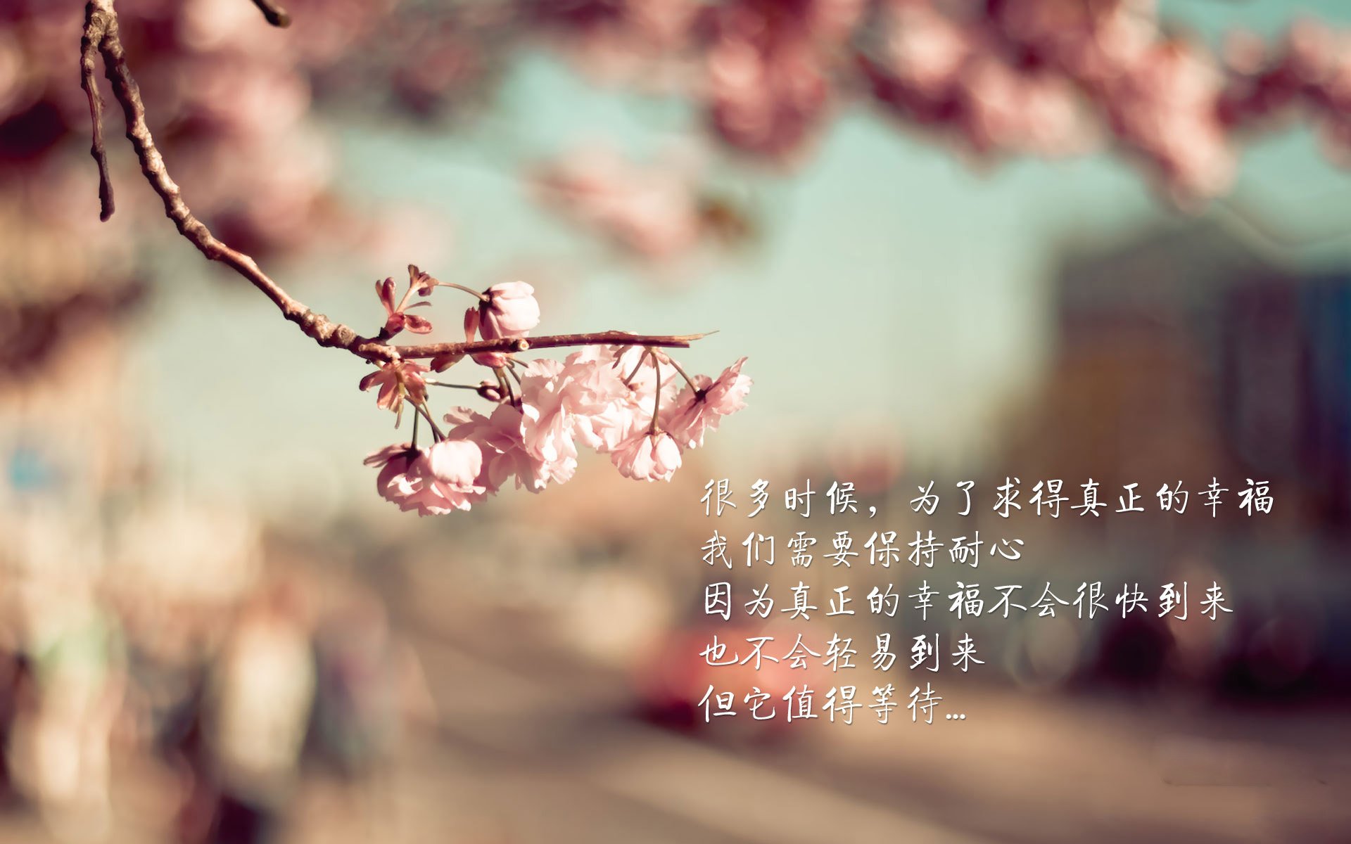 中东足球新势力:利雅得与吉达双雄争霸,利雅得到吉达有多远