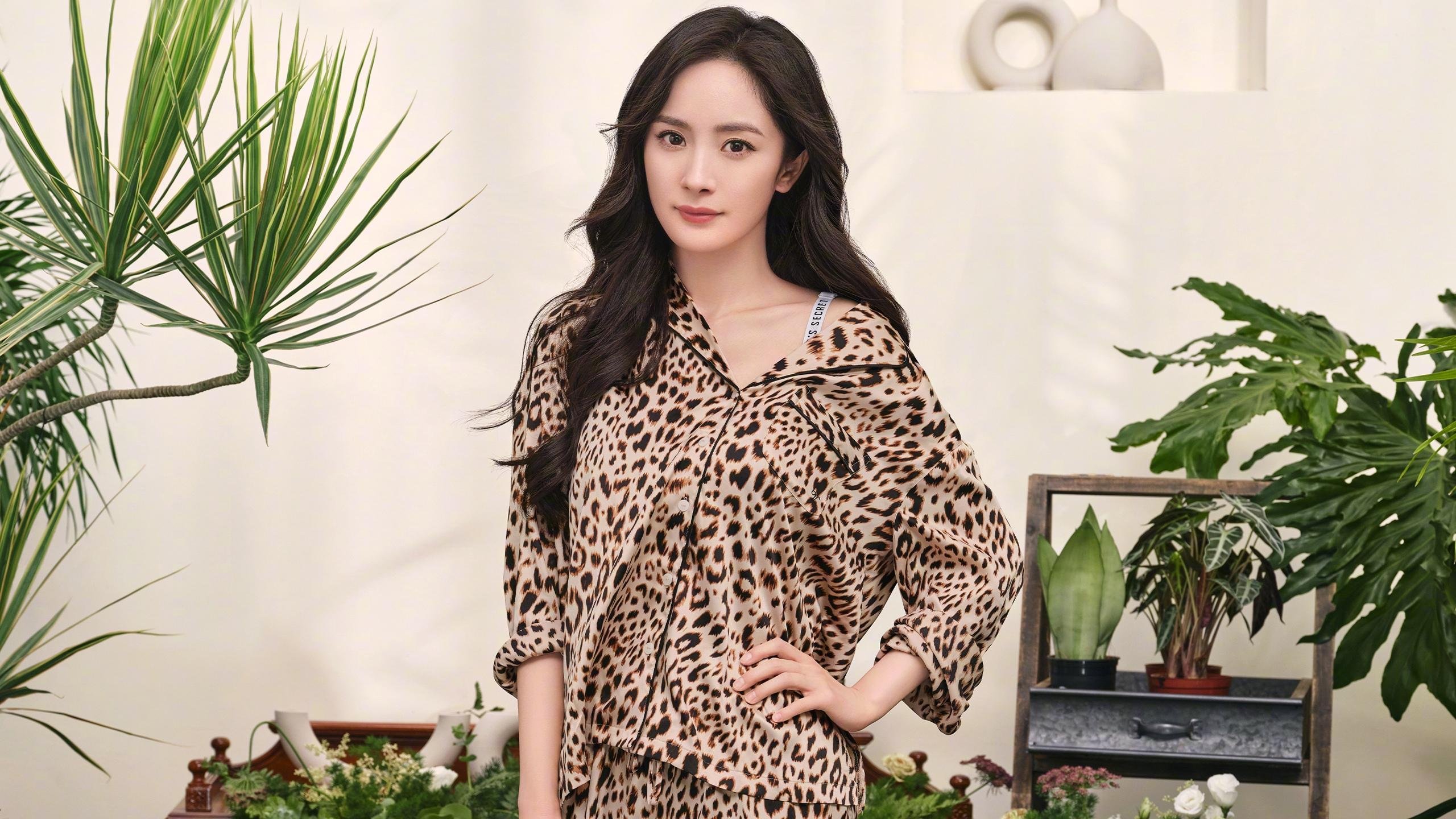 中乙球队资金困境是否可通过社会募资缓解,中乙球队一年投资额