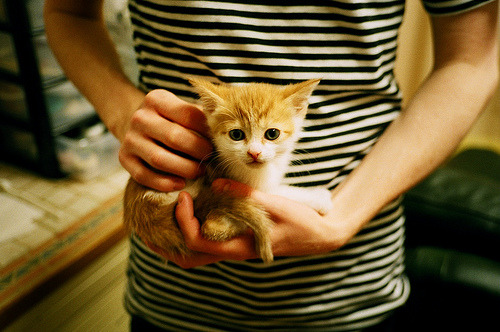 b体育app-凯尔特人逆转湖人，抢七大战中塔图姆三分雨不断，凯尔特人和湖人抢七大战