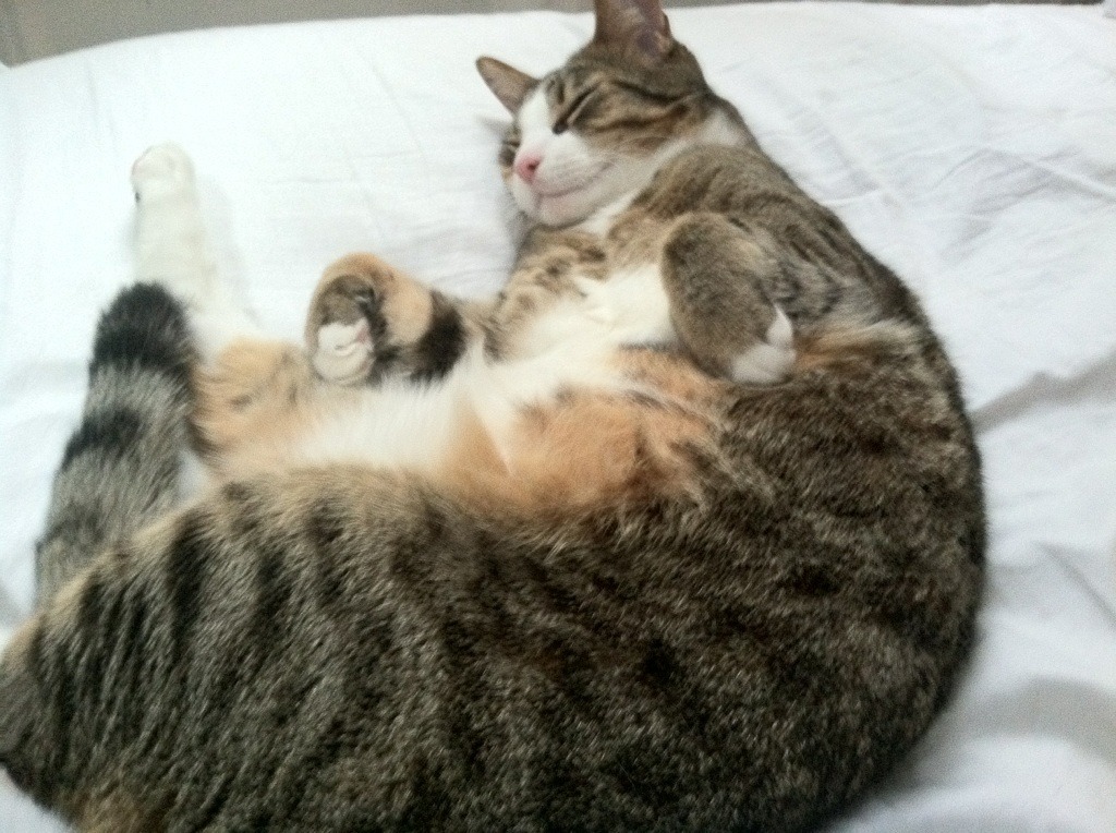 bsport-夺冠在望！球队实力强悍，决赛在即，球队夺冠有什么好处