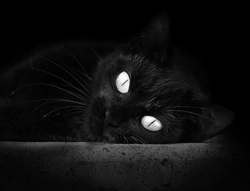 Bsports在线平台-弗赖堡队在最近的比赛中表现出色，弗赖堡队主客场球衣