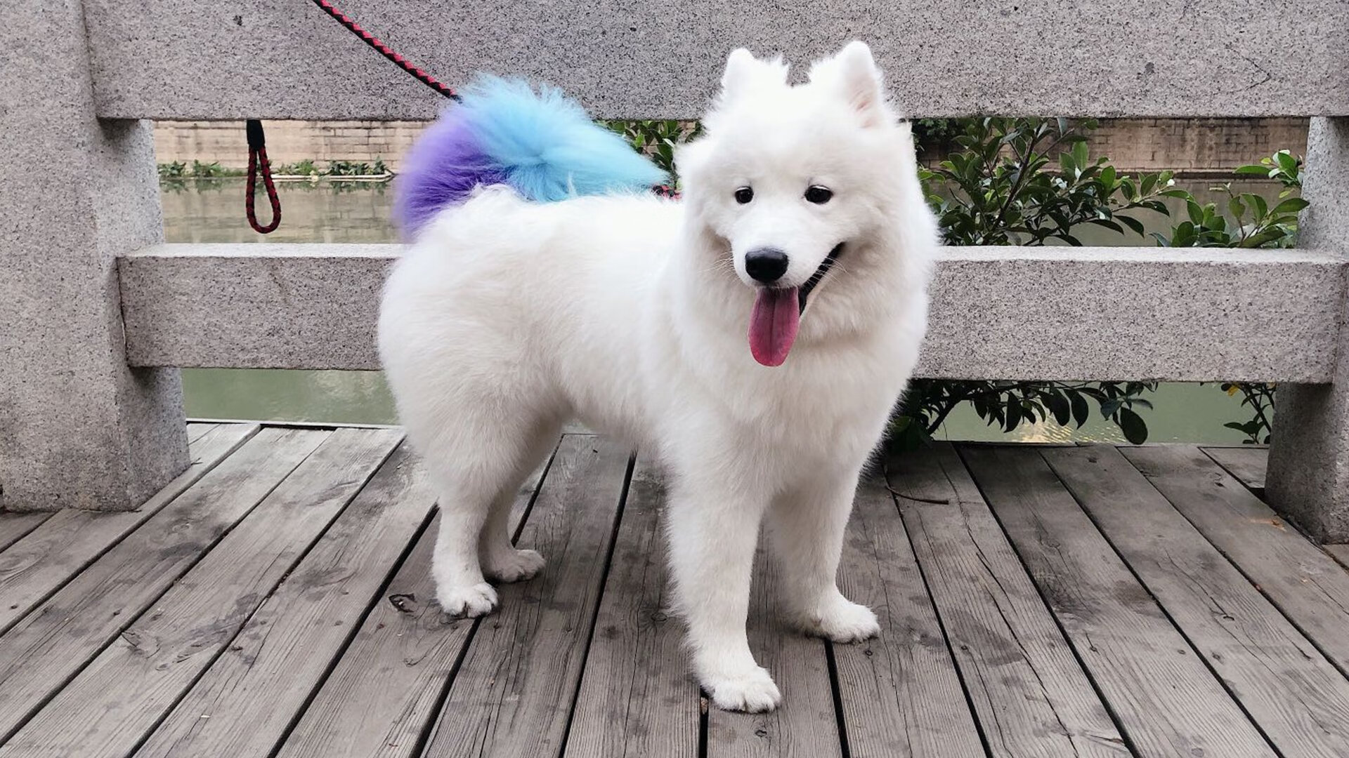 Bsports在线平台-是否应鼓励球员参加学校篮球公益活动，参加学校篮球队有什么要求