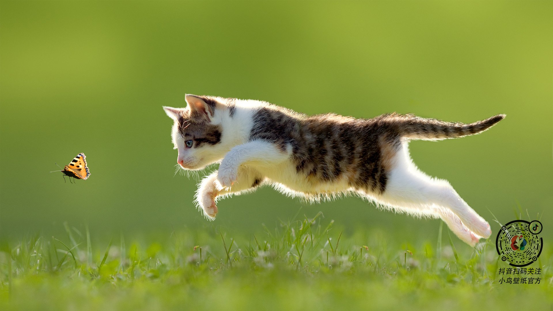 电竞职业选手日常训练与心理调适结合实践探索,电竞选手心态管理