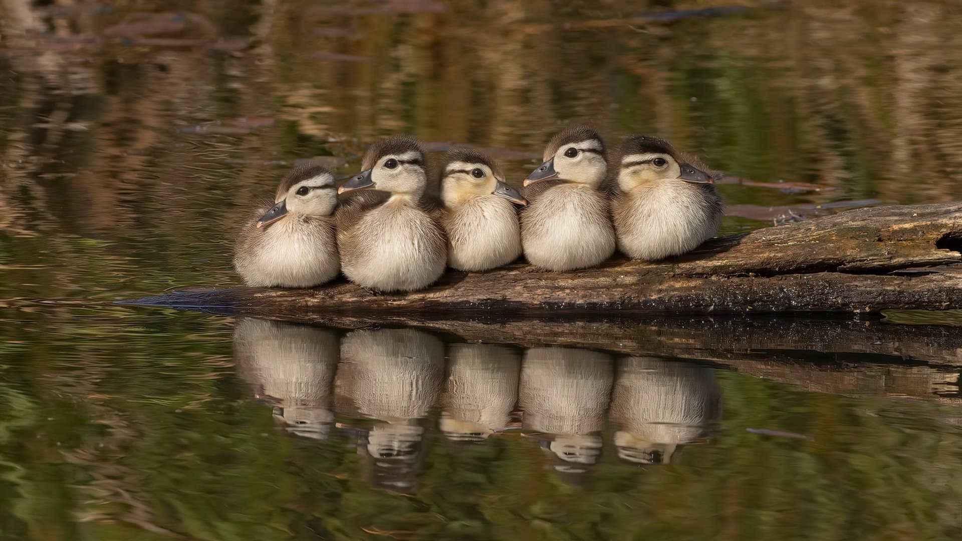 电竞职业选手的日常生活揭秘，电竞职业选手生活作息