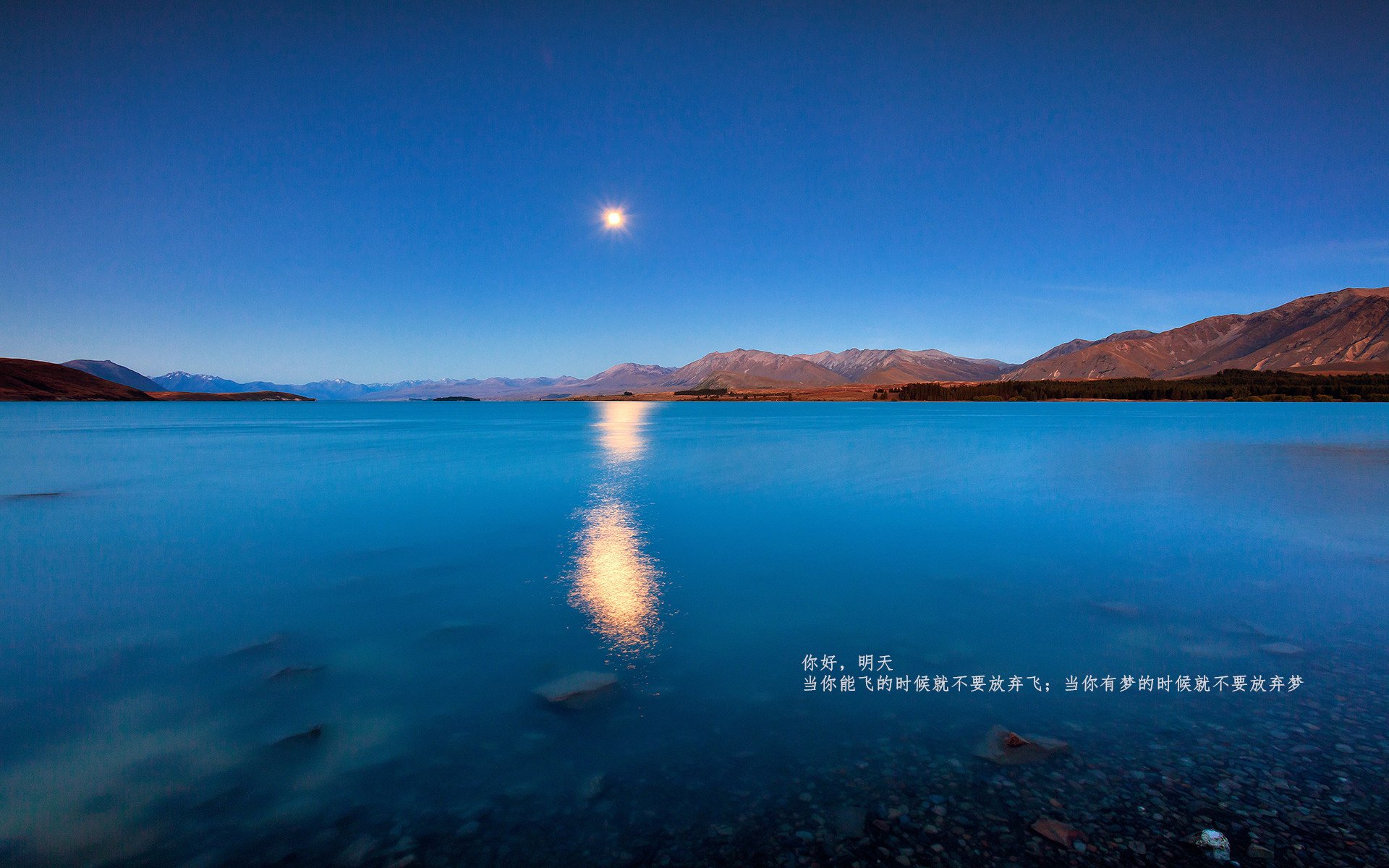 b体育直播-阿根廷奥运健儿凯旋回国受热烈欢迎，阿根廷青年奥运会