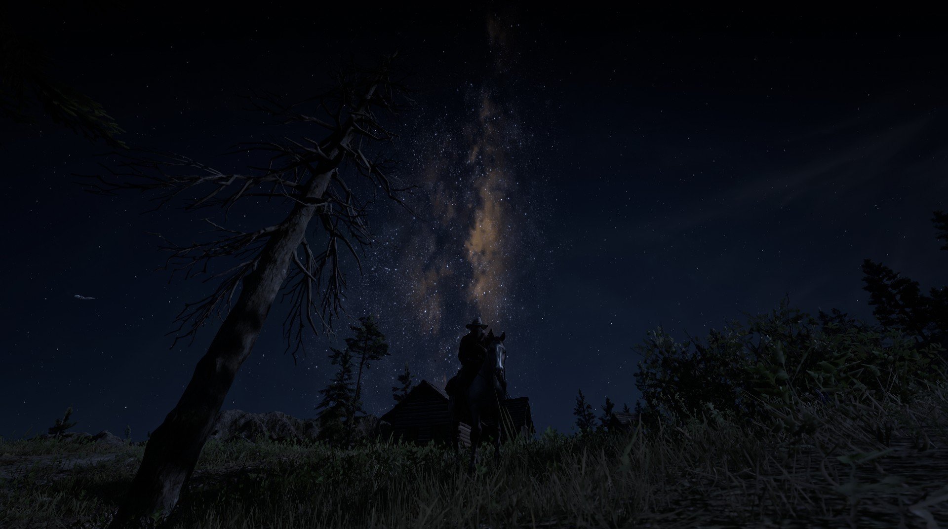 中国篮球青训体系人才培养模式多元化探索，青年篮球训练机构