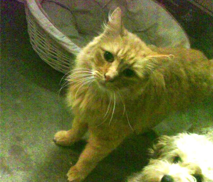 体育培训行业教师流动性现状与原因分析，体育培训市场现状