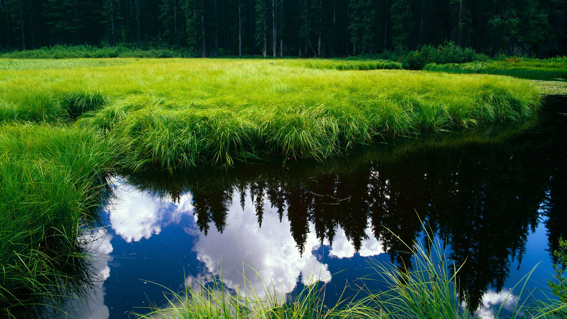 b体育在线平台-运动装备技术创新应用，运动装备市场分析