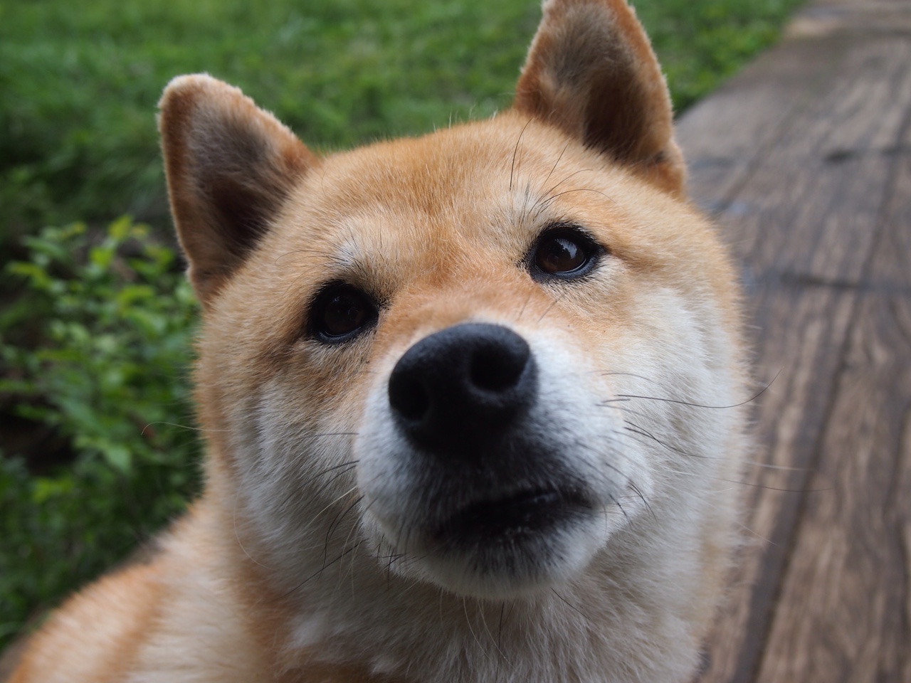 体育新闻中心上线体育赛事热点舆情实时监控系统，体育新闻资讯