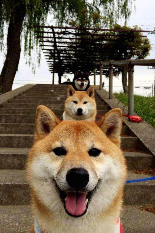 国家男篮球员积极备战展现良好训练氛围，男篮 训练