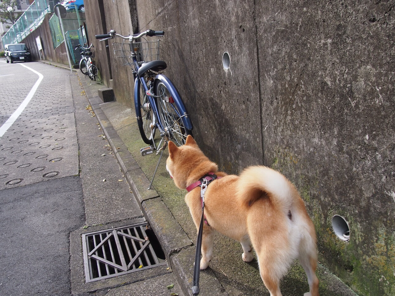 b体育网站注册-得分手的无球能力是否被低估，得分手的无球能力是否被低估了