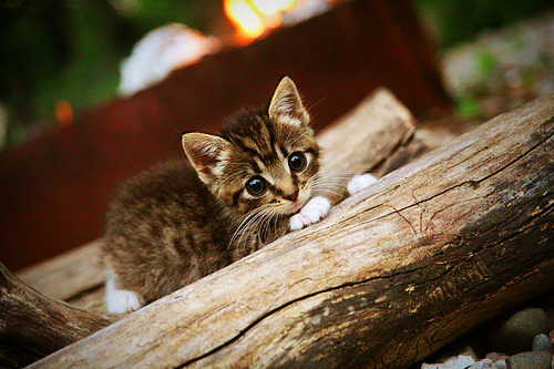 b体育网站注册-高节奏球队是否更容易在第四节失速，球场节奏大师
