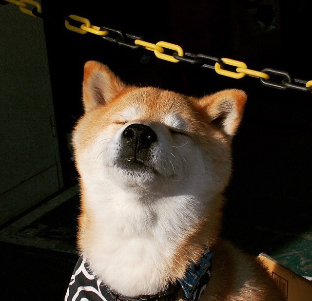 b体育官方网站-全国篮篮推行校园三分命中挑战活动提升参与度，篮球三分大赛