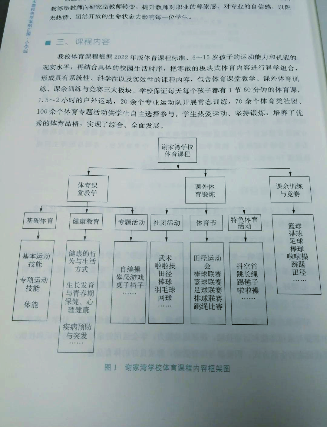 B体育平台:中国足球青训教练员培养体系构建：专业化与标准化的简单介绍
